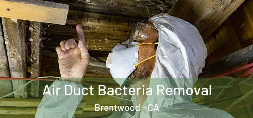 Air Duct Bacteria Removal Brentwood - CA