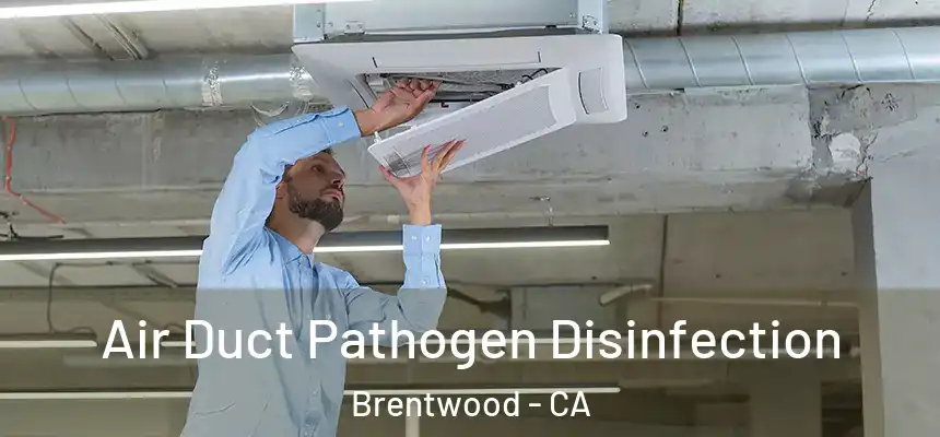 Air Duct Pathogen Disinfection Brentwood - CA