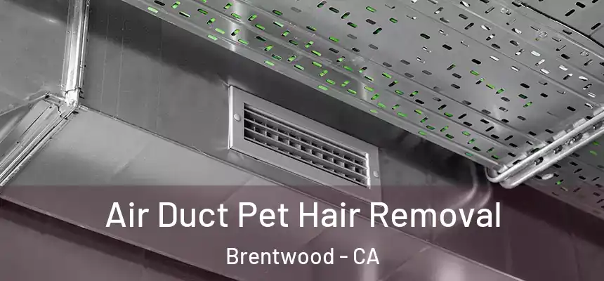 Air Duct Pet Hair Removal Brentwood - CA