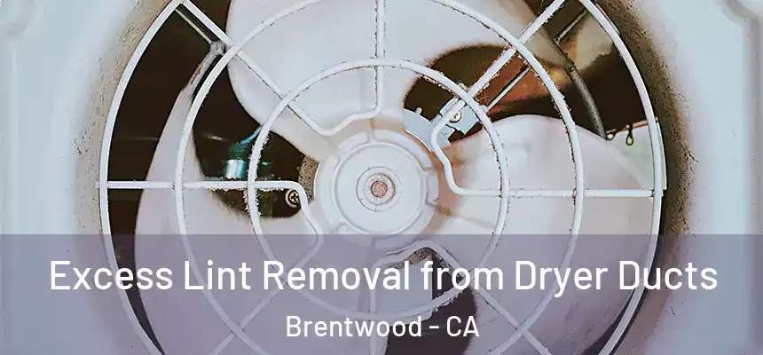  Excess Lint Removal from Dryer Ducts Brentwood - CA