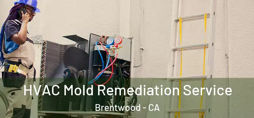  HVAC Mold Remediation Service Brentwood - CA