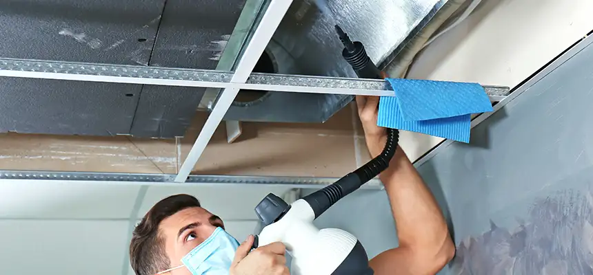 Our Air Duct Rodent Removal Services in Brentwood, CA