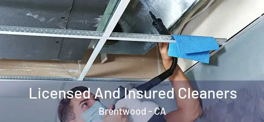 Licensed And Insured Cleaners Brentwood - CA
