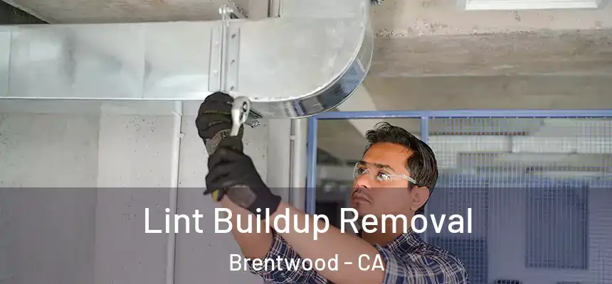  Lint Buildup Removal Brentwood - CA