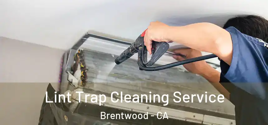 Lint Trap Cleaning Service Brentwood - CA