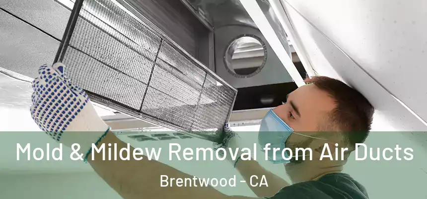  Mold & Mildew Removal from Air Ducts Brentwood - CA