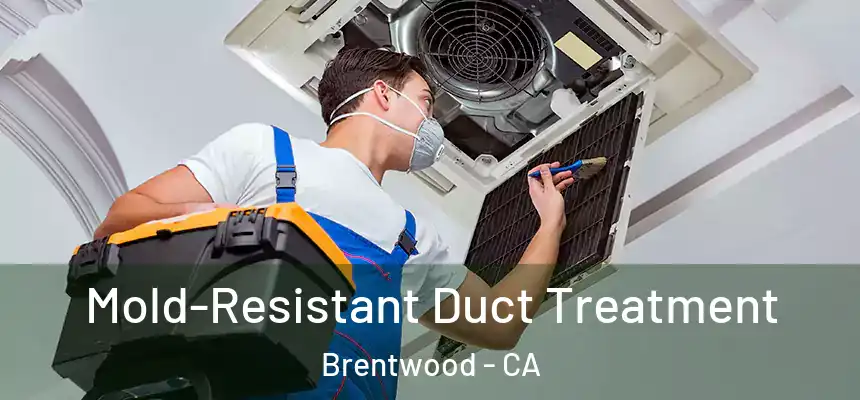  Mold-Resistant Duct Treatment Brentwood - CA
