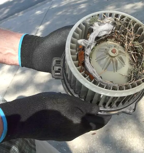 About Air Duct Mice Removal in Brentwood, CA