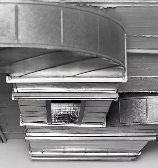 Professional Air Duct Pest Removal in Brentwood, CA