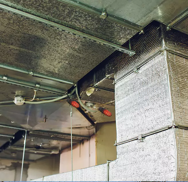 Why Homeowners & Businesses Trust Us in Brentwood, CA?