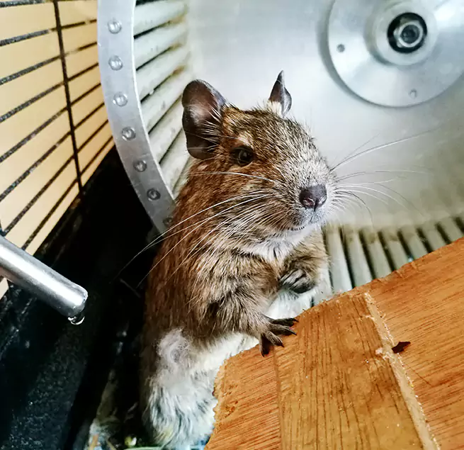 Why Homeowners & Businesses Trust Us Brentwood, CA