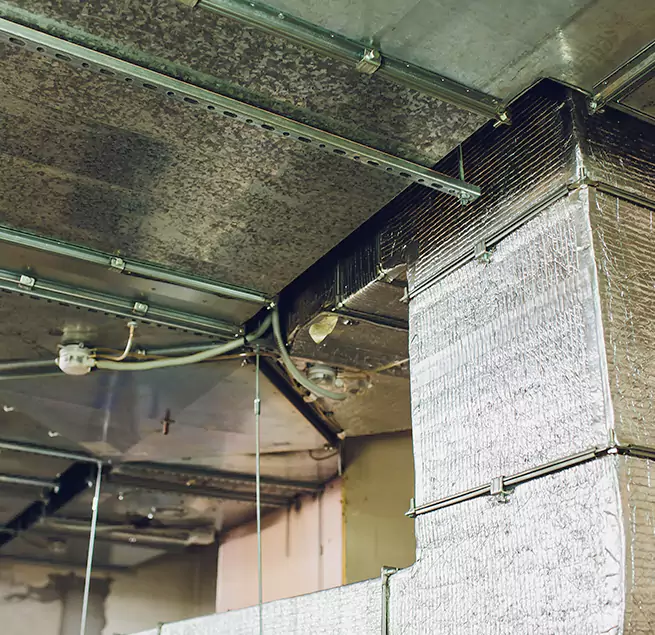 Why Homeowners & Businesses Trust Us in Brentwood, CA?